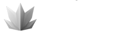 3DXClay